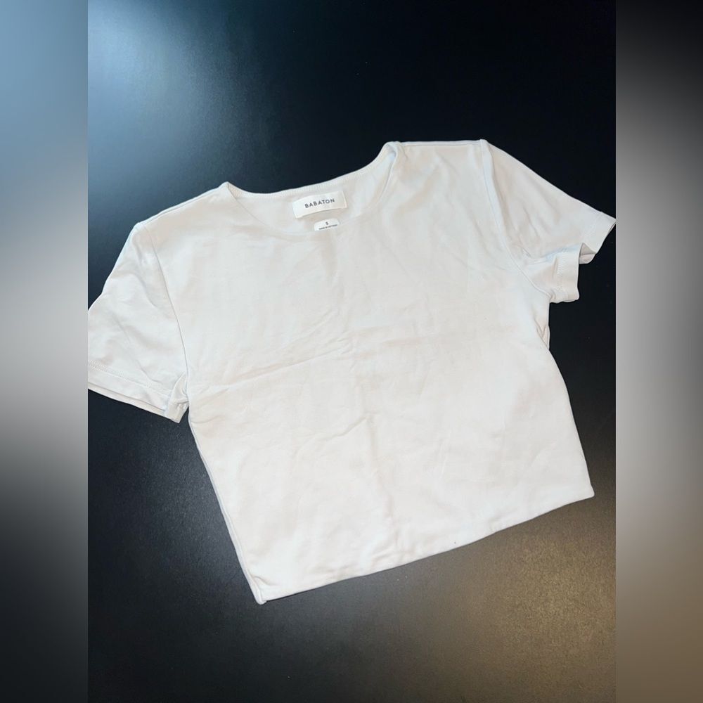 Babaton Contour Short Sleeve Crop Top in Light Gray Size Small EUC